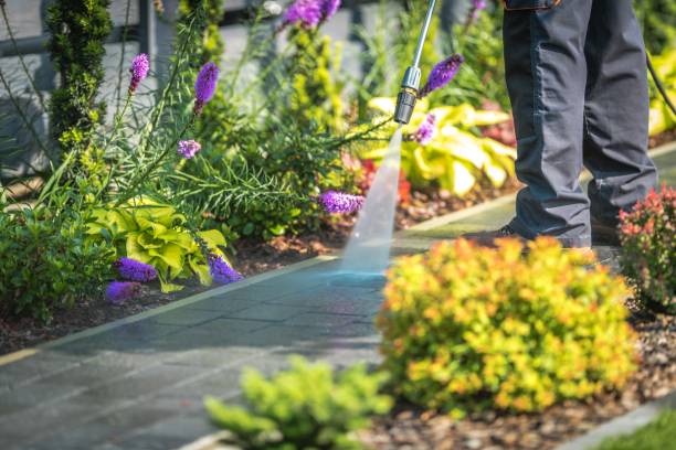 Best Pool Deck Cleaning  in Bloomingdale, NJ